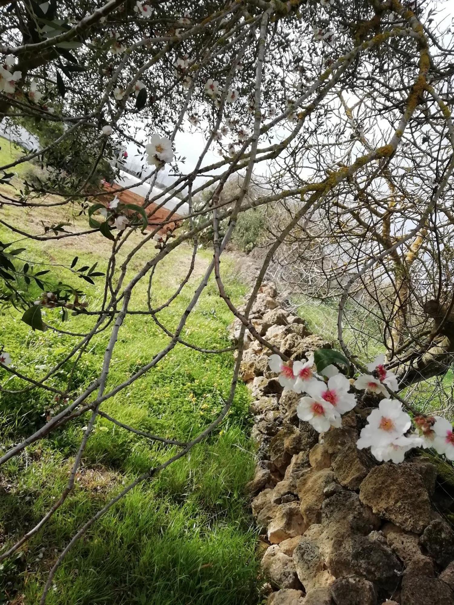 El Matorral Bed & Breakfast Alghero Luaran gambar