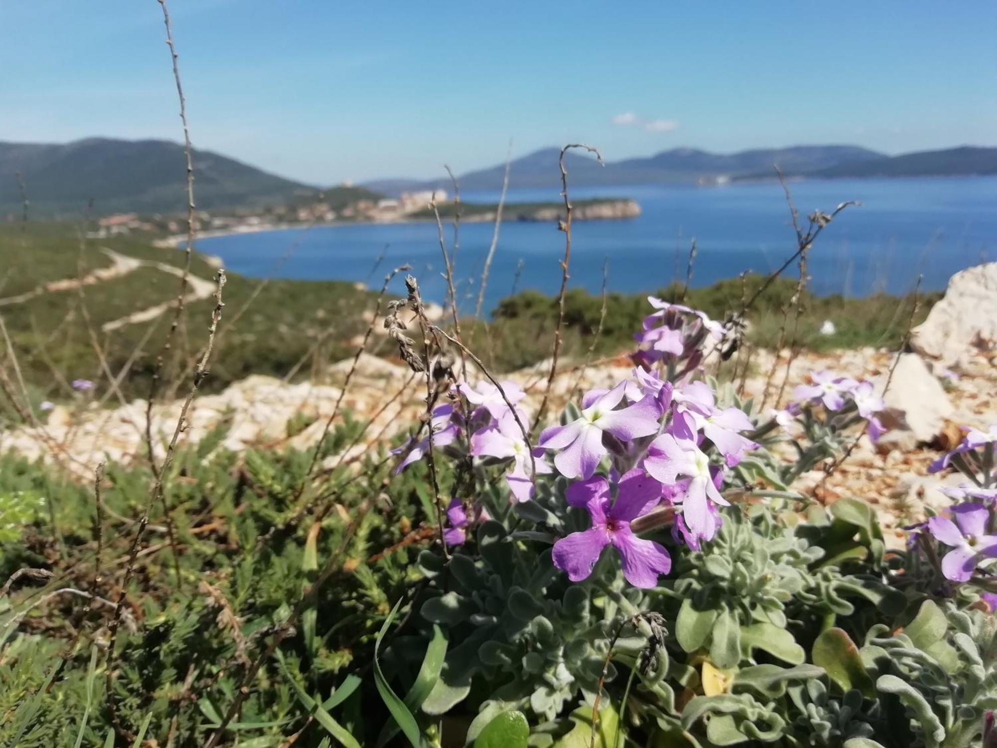 El Matorral Bed & Breakfast Alghero Luaran gambar