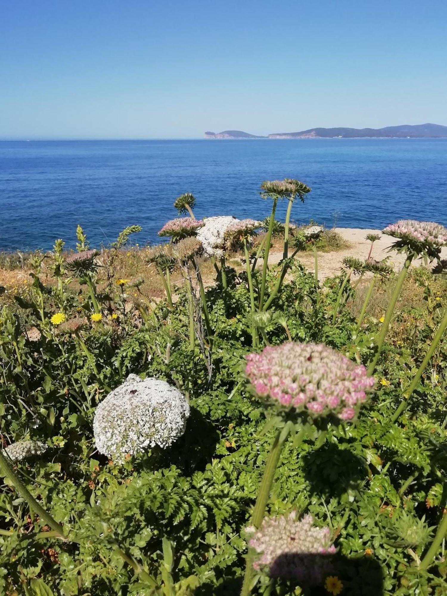 El Matorral Bed & Breakfast Alghero Luaran gambar